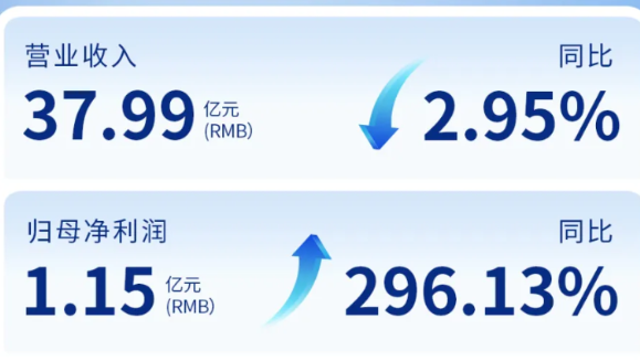 新里程（002219）发布2024年年度报告：归母净利润增长296%