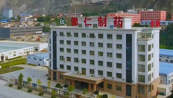 甘肃省副省长葛建团莅临新里程（002219）旗下佛仁制药考察调研